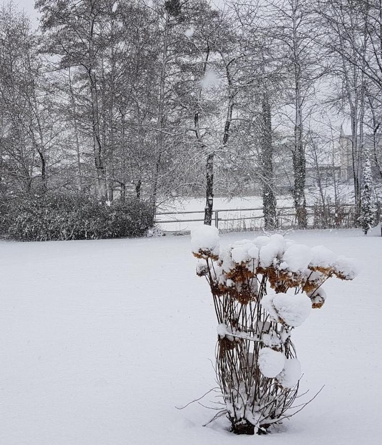 Finger'S Hyggelig-Haus Villa Erbach  ภายนอก รูปภาพ